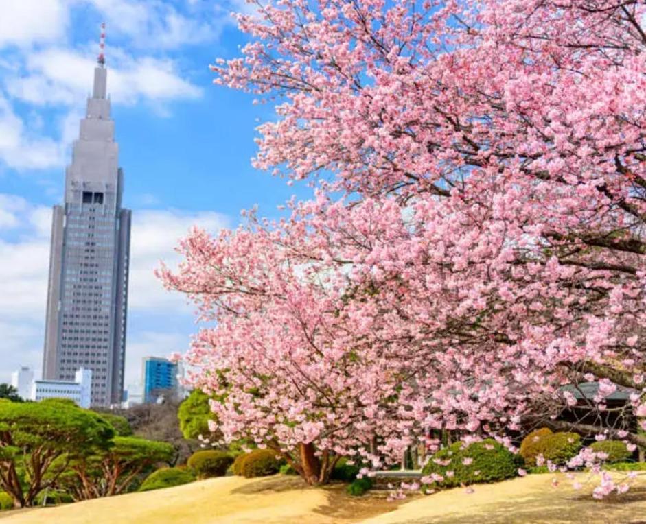 Apartment 62新宿商圈 新宿御苑1分-shinjuku Area Japanese Style Max 5p Präfektur Tokio